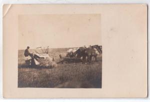 RPPC, Horse Drawn Hay Rack