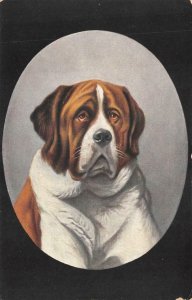 DOG DOG DOG BASSET HOUND POSTCARD (c. 1910)