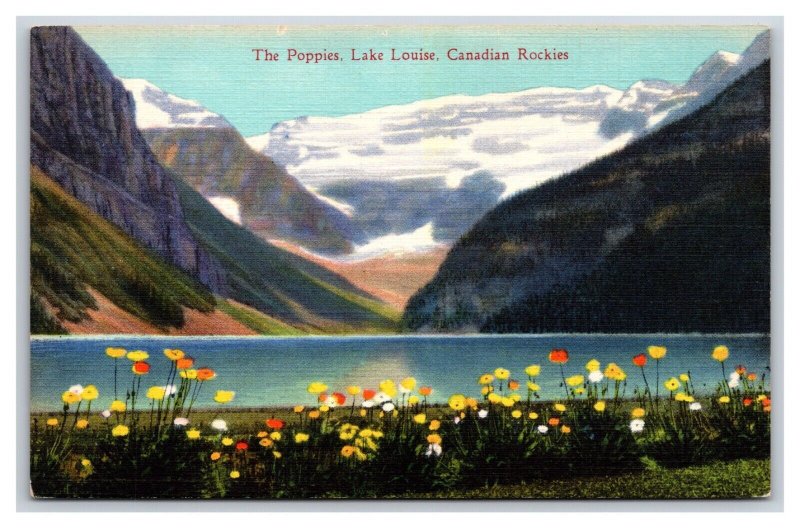 Poppy Flwoers At Lake Louise Alberta Canada UNP Linen Postcard B19