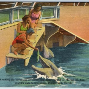 1939 Marineland FL Oceanarium Cute Girls Feeding Porpoises Dolphin PA Wolfe A226