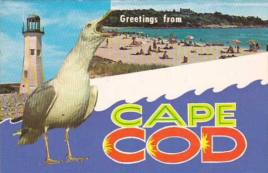 Greetings From Cape Cod Massachusetts