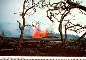 Hawaii Volcanaoes National Park Eruption Scene