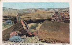 Arizona Petrified Forest Ancient Fallen Monarchs