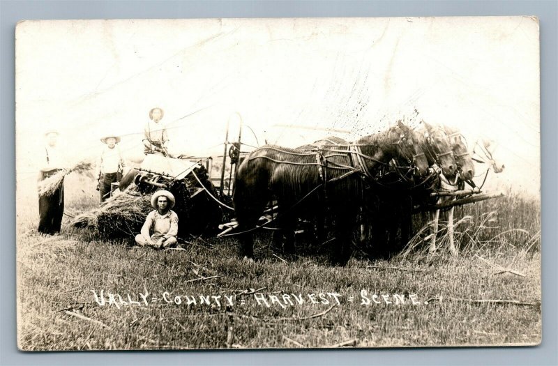 VALLY COUNTY NE FARMING SCENE 1913 ANTIQUE REAL PHOTO POSTCARD RPPC