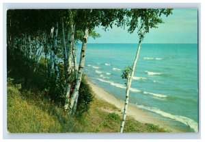 Vintage Michigan Thumb Scenery Postcard F93S