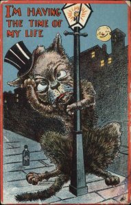 Fantasy Drinking Humor Drunk Cat on Street c1910 Vintage Postcard