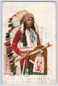 1905 Chief Tall Crane American Native Indian Headdress New York NY Postcard