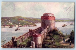 Anatole Hissar On The Bosphorus Constantinople Turkey Oilette Tuck Art Postcard