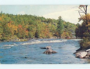 Pre-1980 TOWN VIEW SCENE Ma-Me-O Beach - Pigeon Lake - Edmonton Alberta AB p9346