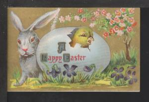 A Happy Easter,Bunny,Chick,Egg Postcard 
