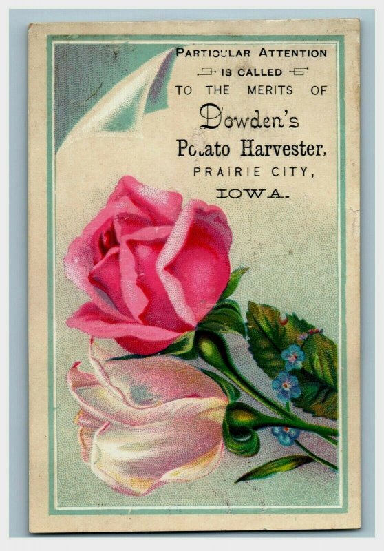 1880's-90's Dowden's Potato Harvester Prairie City, IA Lovely Roses P197 