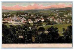 c1905 Birds Eye View Lake Pond Village Trees Newport New Hampshire NH Postcard 