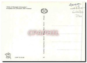 Postcard Modern Sites and Landscapes Limousin Herd Limousin (Haute vienna)