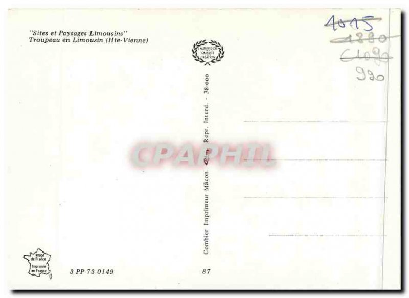 Postcard Modern Sites and Landscapes Limousin Herd Limousin (Haute vienna)