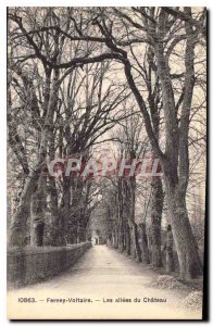 Old Postcard Ferney Voltaire the Allees du Chateau