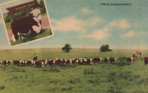 Vintage Postcard 1950's Typical Kansas Ranch Livestock Country Woodgifts Pub.