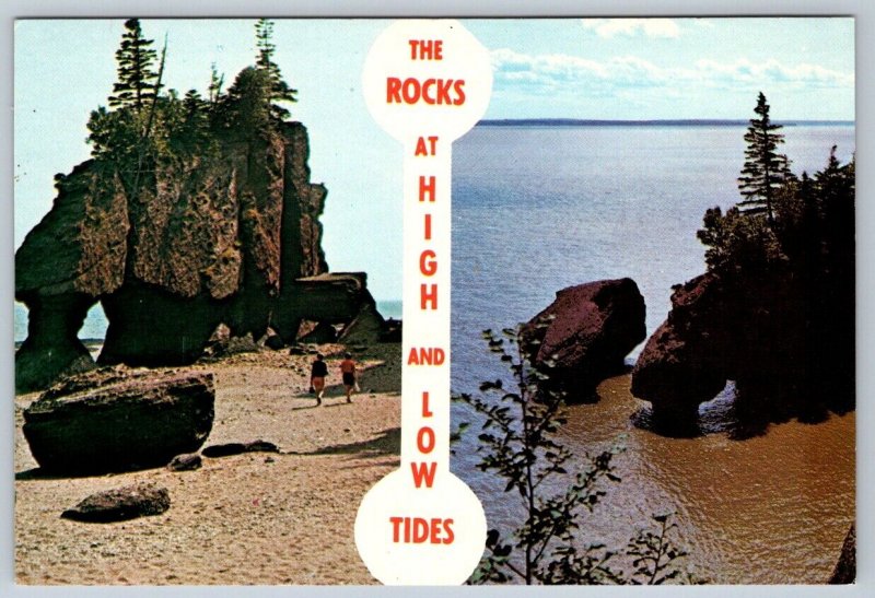 The Rocks, Hopewell Cape, New Brunswick, High Tide Low Tide, Split View Postcard