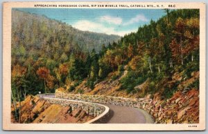 Vtg Catskill Mountains New York NY orseshoe Curve Rip Van Winkle Trail Postcard