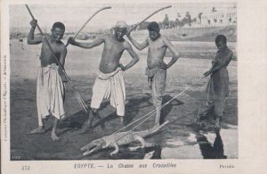 Crocodile Hunting Crocodiles Egyptian Antique Postcard