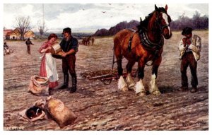 Horse , Draft Horse Seedtime