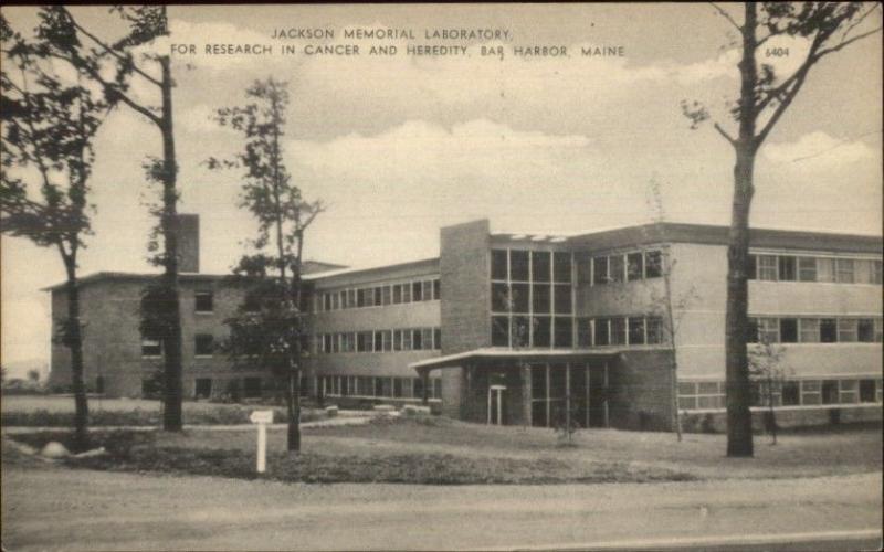 Bar Harbor ME Jackson Memorial Lab c19490s Postcard