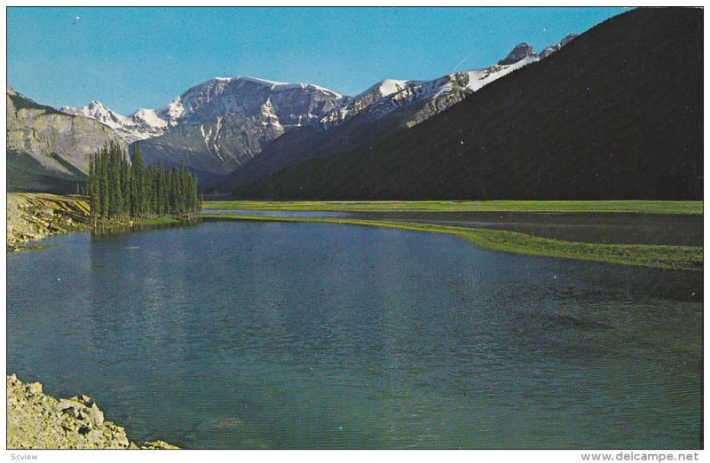 Sunwapta River, View On Icefield Highway, Jasper Park, Alberta, Canada, 40-60s