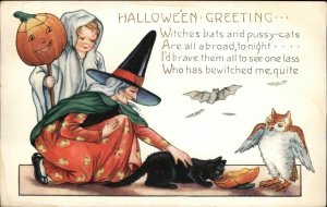 Halloween Old Witch Boy as Ghost Cat Owl WHITNEY c1915 Postcard