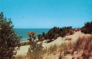 Lake Michigan Duneland Beach, Michigan City, Indiana Postcard 