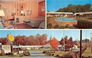 ROANOKE, VA Virginia ROANOKER MOTOR LODGE Pool~Room~TV ROADSIDE Chrome Postcard