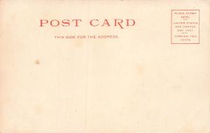 Pontoosuc Lake, Pittsfield, Massachusetts, Early Postcard, Unused