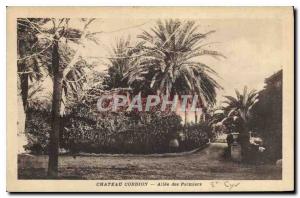 Old Postcard Chateau Cordion Allee palms