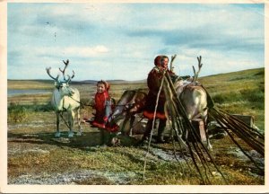 Norway Lapps Or Laplanders With Their Reindeer 1960