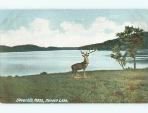 Unused Pre-1907 DEER AT KENOZA LAKE Haverhill Massachusetts MA Q1315