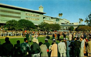 California Arcadia Santa Anita Park Race Track Horse Racing