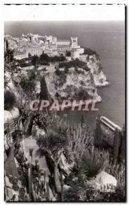 Old Postcard Principality Of Monaco Rocher Given the Exotic Garden