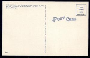 Children & Llamas Belle Isle Zoo unused c1940's