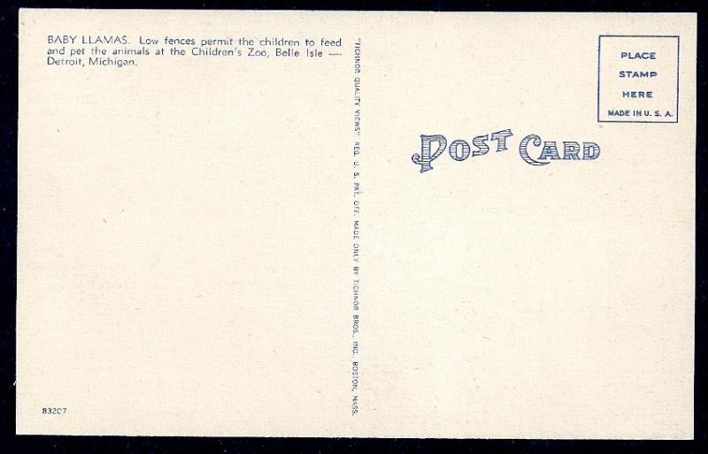 Children & Llamas Belle Isle Zoo unused c1940's