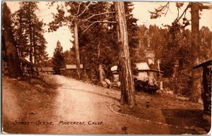 Cabins, Street Scene, Pinecrest San Bernardino CA c1912 Vintage Postcard S33