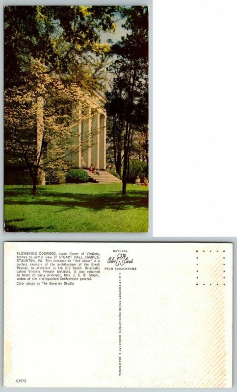 Stuart Hall Campus Flowering Dogwood Staunton,VA Virginia Vintage Postcard