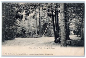 View In Forest Park Springfield Massachusetts MA, Tree-lined Dirt Road Postcard