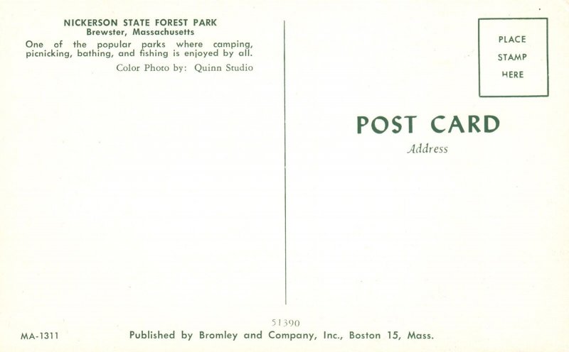 Vintage Postcard Nickerson State Forest Camping Park Brewster Massachusetts MA