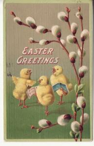 EASTER   CHICKS SING / PUSSY WILLOWS  1913 postcard