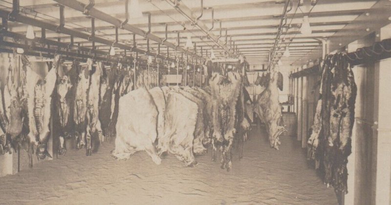 Chicago ILLINOIS RPPC c1910 INTERIOR BUTCHER SHOP Market BRITTEN & SONS AD Meat