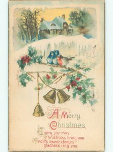 Divided-Back CHRISTMAS BIRDS SCENE Pretty Postcard W8569