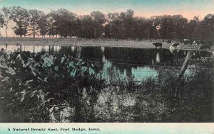 FORT DODGE, Iowa IA  NATURAL BEAUTY SPOT~Cattle & Pond WEBSTER CO  1912 Postcard