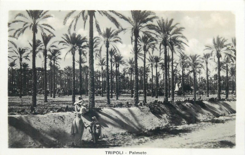 Libya Tripoli 4 real photo postcards ethnic life oasis desert palms Suk el Turk 