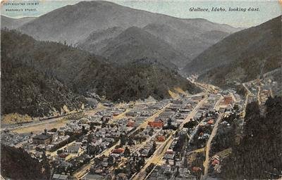 WALLACE ID Bird's-Eye View Looking East Idaho Vintage Postcard 1911