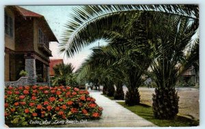 LONG BEACH, California CA ~ Street Scene CEDAR AVENUE 1910 Postcard