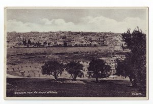 P1235 old unused postcard palestine jerusalem from mount of olives