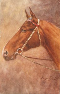 George Ranking. Head of a horse Vintage Engish postcard